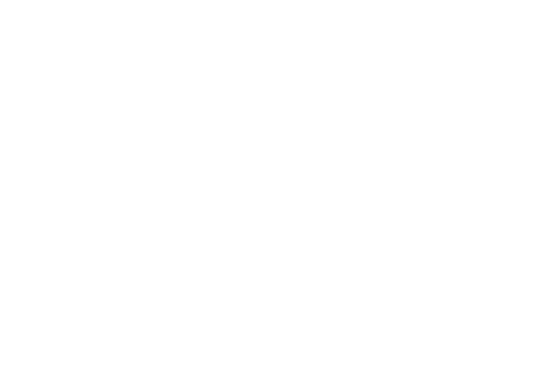 Stolen Owl Scrolled light version of the logo (Link to homepage)